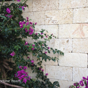 ivory travertine wall cladding